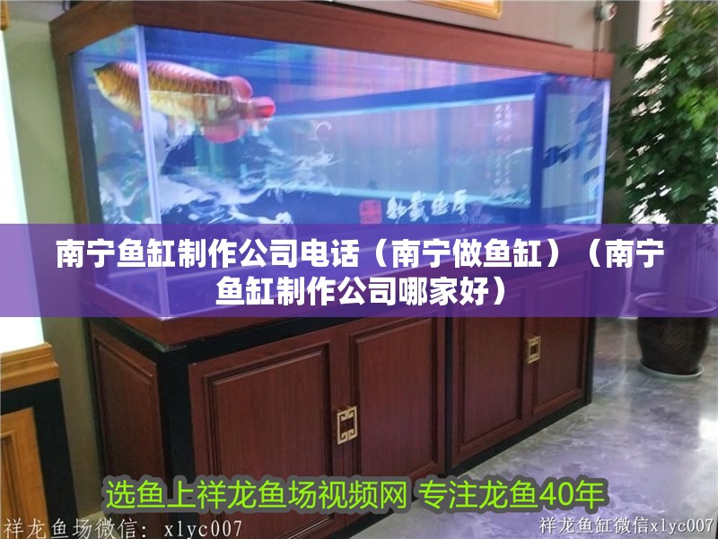 南寧魚缸制作公司電話（南寧做魚缸）（南寧魚缸制作公司哪家好）