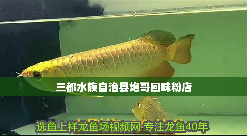 三都水族自治縣炮哥回味粉店