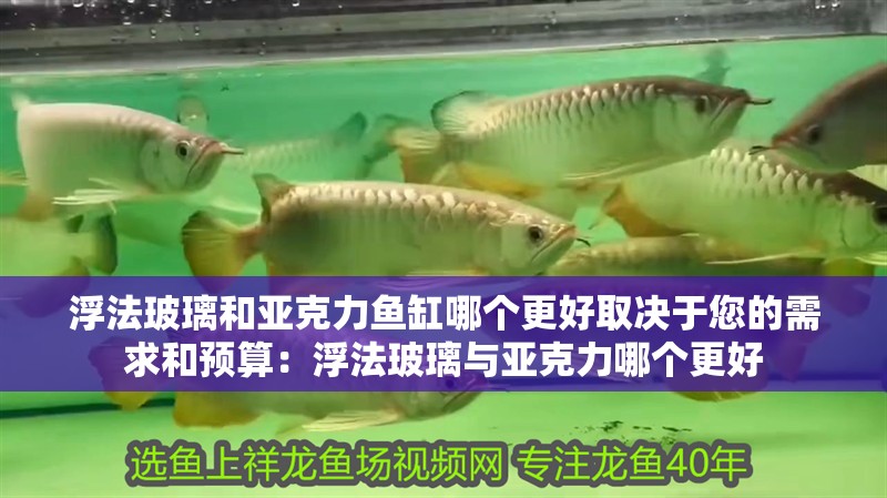 浮法玻璃和亞克力魚缸哪個更好取決于您的需求和預算：浮法玻璃與亞克力哪個更好 浮法玻璃和亞克力魚缸哪個更好取決于您的需求和預算：浮法玻璃與亞克力哪個更好 魚缸百科