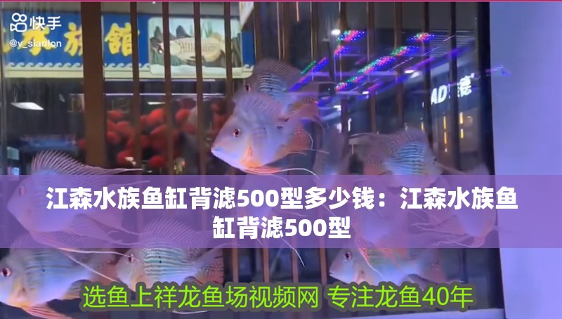 江森水族魚缸背濾500型多少錢：江森水族魚缸背濾500型