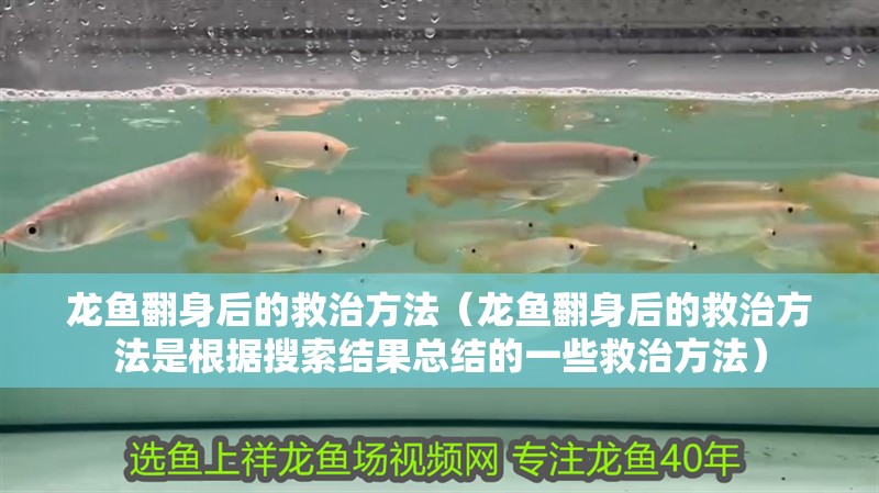 龍魚翻身后的救治方法（龍魚翻身后的救治方法是根據(jù)搜索結(jié)果總結(jié)的一些救治方法）