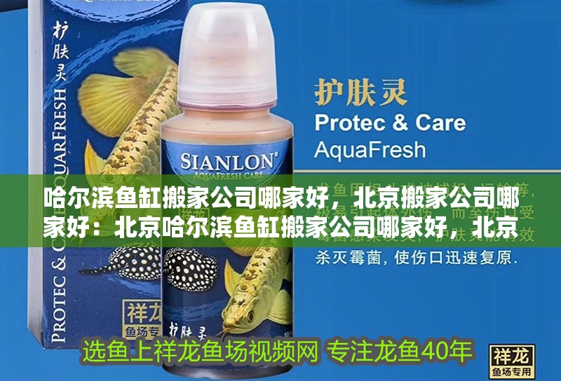 哈爾濱魚缸搬家公司哪家好，北京搬家公司哪家好：北京哈爾濱魚缸搬家公司哪家好，北京搬家公司哪家好