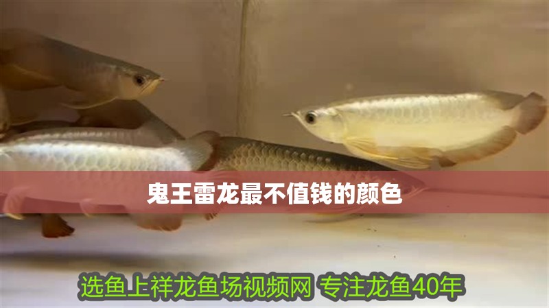 鬼王雷龍最不值錢的顏色