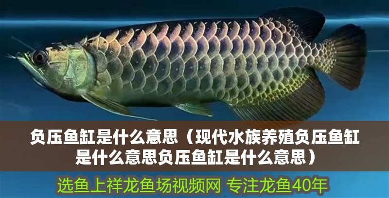 負壓魚缸是什么意思（現代水族養殖負壓魚缸是什么意思負壓魚缸是什么意思）