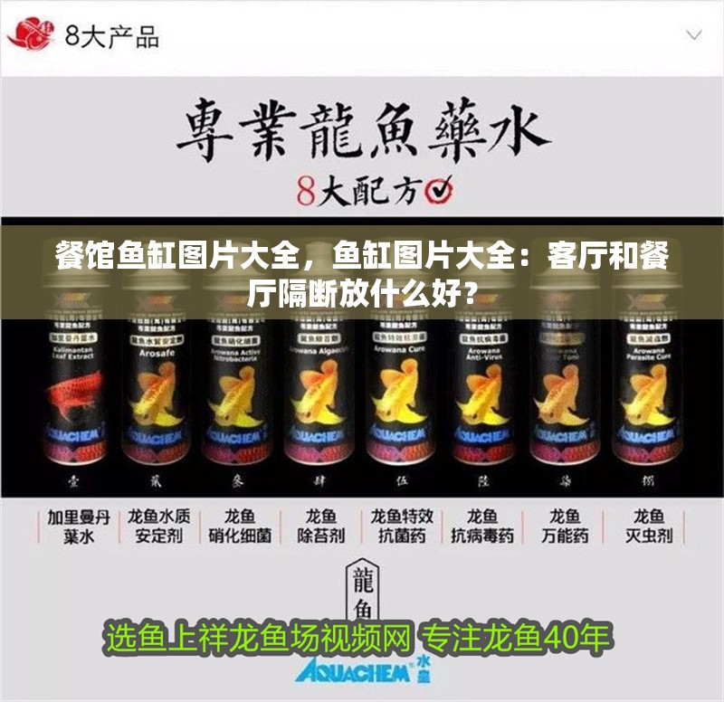 餐館魚缸圖片大全，魚缸圖片大全：客廳和餐廳隔斷放什么好？