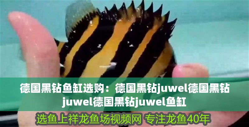 德國(guó)黑鉆魚(yú)缸選購(gòu)：德國(guó)黑鉆juwel德國(guó)黑鉆juwel德國(guó)黑鉆juwel魚(yú)缸