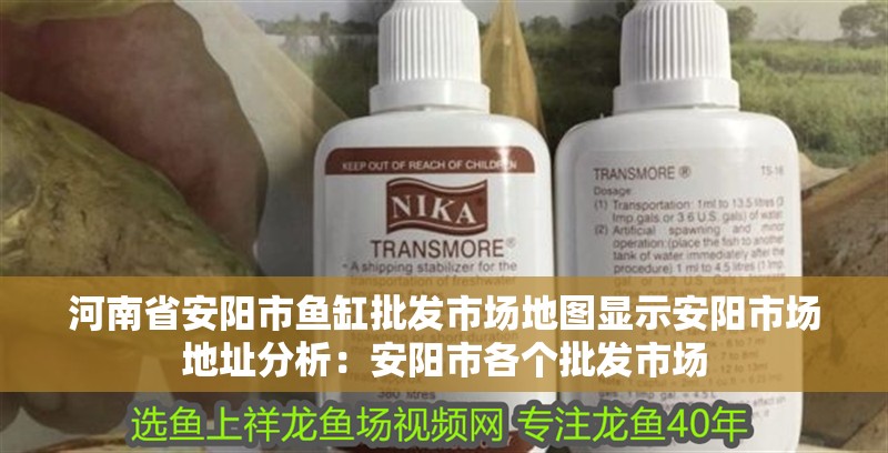 河南省安陽(yáng)市魚(yú)缸批發(fā)市場(chǎng)地圖顯示安陽(yáng)市場(chǎng)地址分析：安陽(yáng)市各個(gè)批發(fā)市場(chǎng)