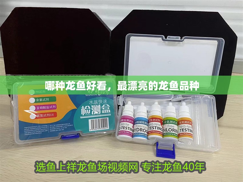 哪種龍魚好看，最漂亮的龍魚品種