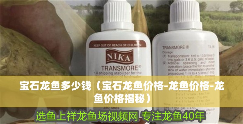 寶石龍魚多少錢（寶石龍魚價格-龍魚價格-龍魚價格揭秘）