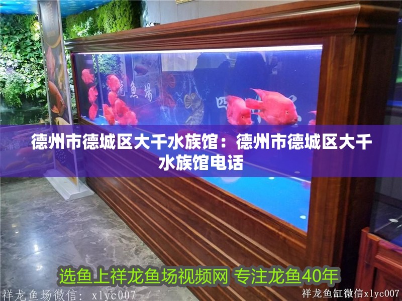 德州市德城區大千水族館：德州市德城區大千水族館電話