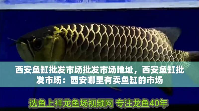 西安魚(yú)缸批發(fā)市場(chǎng)批發(fā)市場(chǎng)地址，西安魚(yú)缸批發(fā)市場(chǎng)：西安哪里有賣(mài)魚(yú)缸的市場(chǎng)