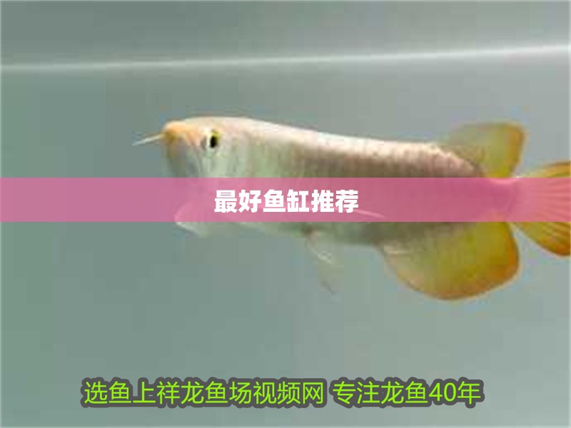 最好魚缸推薦