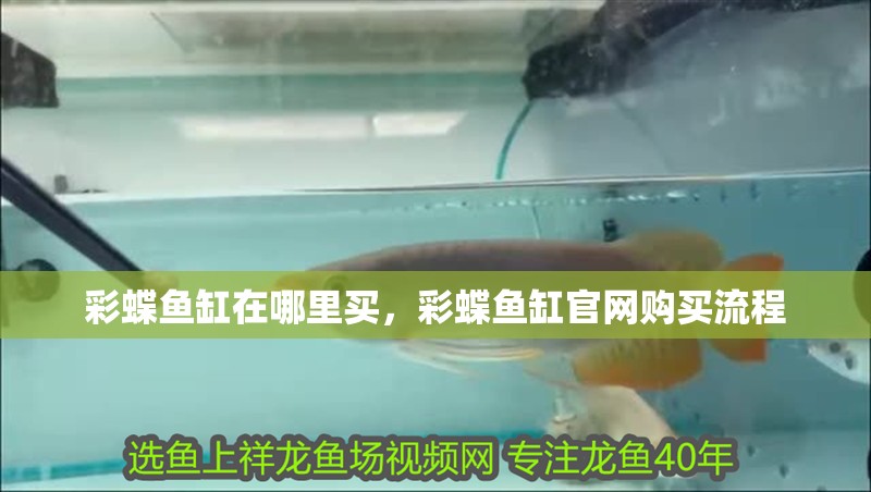 彩蝶魚缸在哪里買，彩蝶魚缸官網購買流程