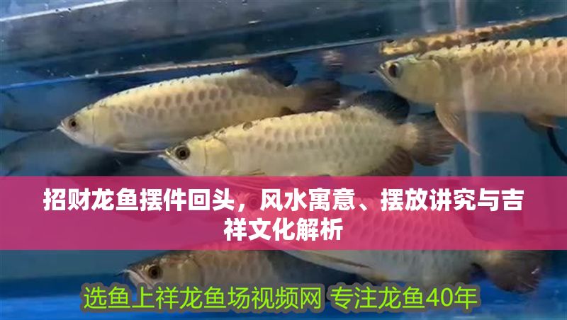 招財龍魚擺件回頭，風水寓意、擺放講究與吉祥文化解析