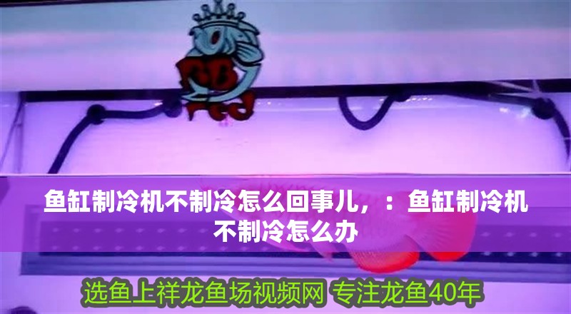 魚缸制冷機(jī)不制冷怎么回事兒，：魚缸制冷機(jī)不制冷怎么辦