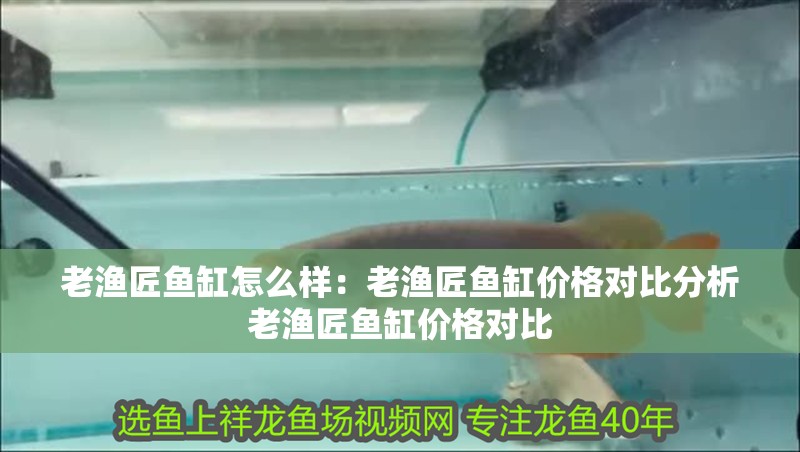 老漁匠魚缸怎么樣：老漁匠魚缸價格對比分析老漁匠魚缸價格對比 老漁匠魚缸怎么樣：老漁匠魚缸價格對比分析老漁匠魚缸價格對比 魚缸百科