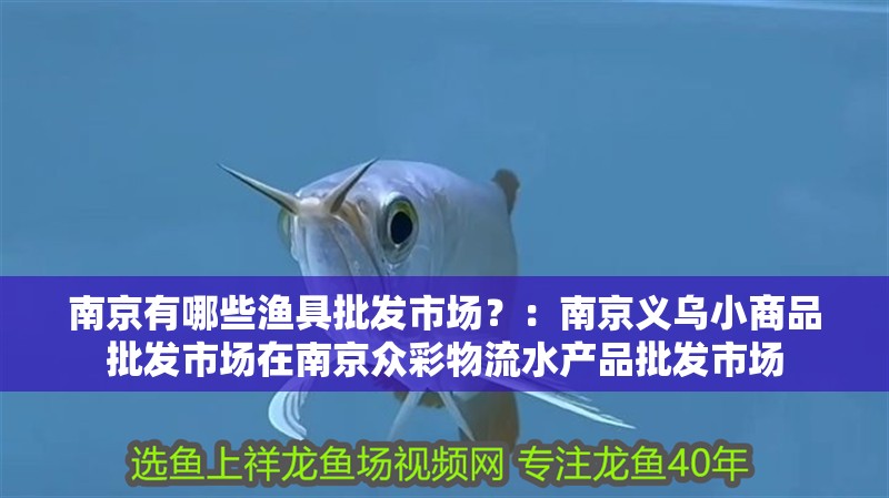 南京有哪些漁具批發市場？：南京義烏小商品批發市場在南京眾彩物流水產品批發市場