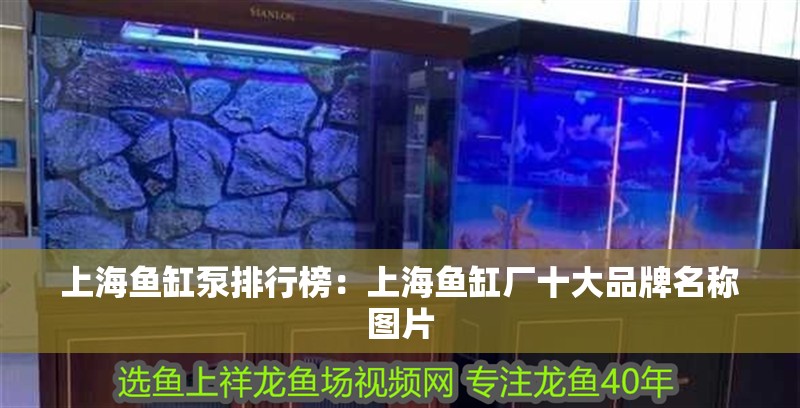上海魚(yú)缸泵排行榜：上海魚(yú)缸廠十大品牌名稱(chēng)圖片