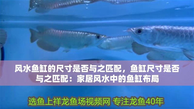 風(fēng)水魚缸的尺寸是否與之匹配，魚缸尺寸是否與之匹配：家居風(fēng)水中的魚缸布局