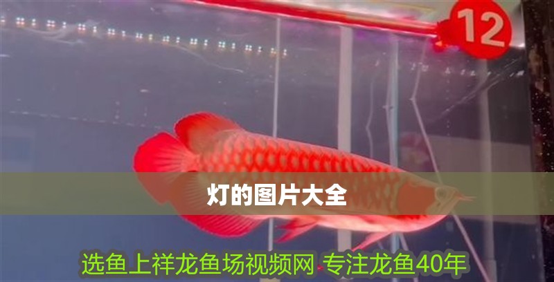 燈的圖片大全
