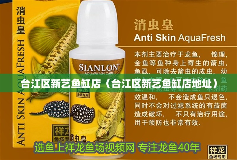 臺江區新藝魚缸店（臺江區新藝魚缸店地址）