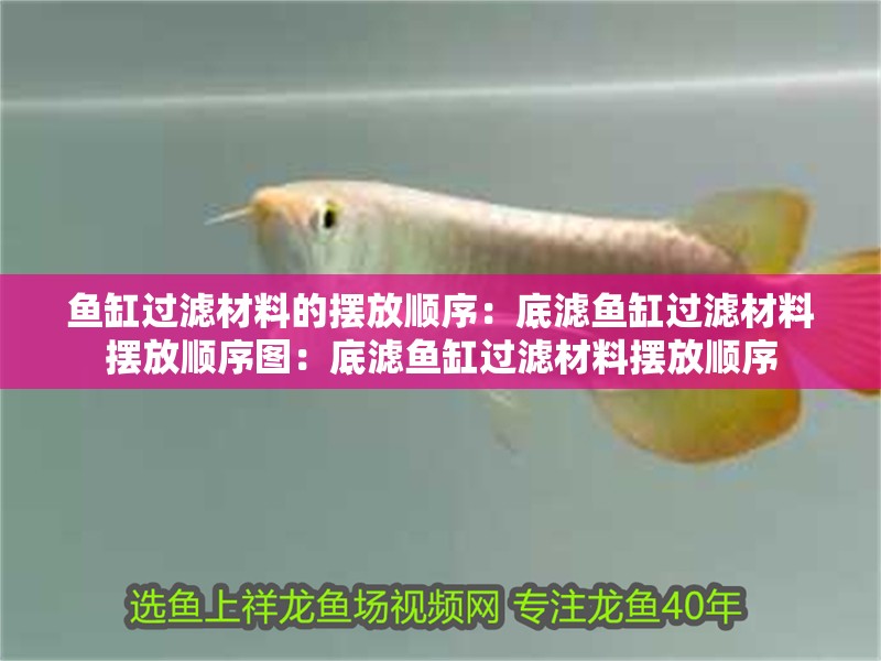 魚缸過濾材料的擺放順序：底濾魚缸過濾材料擺放順序圖：底濾魚缸過濾材料擺放順序
