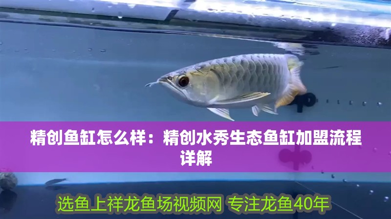 精創(chuàng)魚缸怎么樣：精創(chuàng)水秀生態(tài)魚缸加盟流程詳解