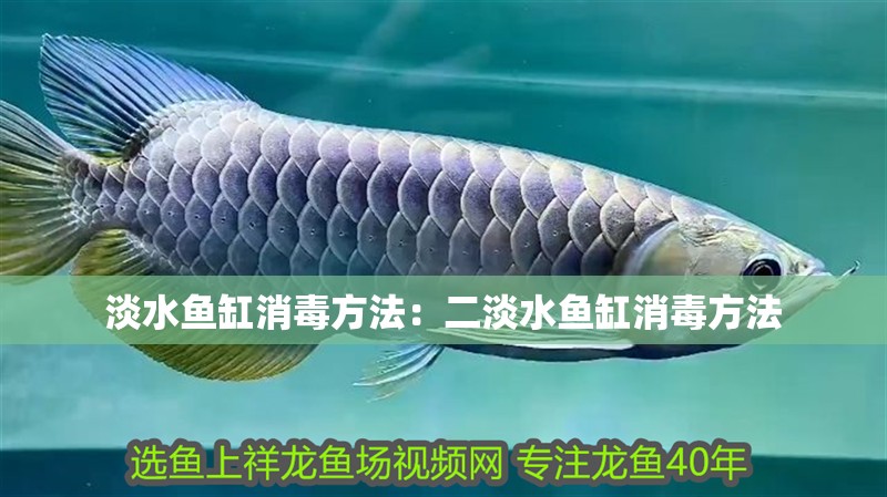 淡水魚缸消毒方法：二淡水魚缸消毒方法