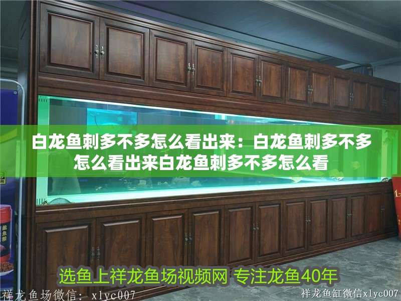 白龍魚(yú)刺多不多怎么看出來(lái)：白龍魚(yú)刺多不多怎么看出來(lái)白龍魚(yú)刺多不多怎么看