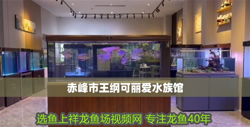赤峰市王綱可麗愛(ài)水族館
