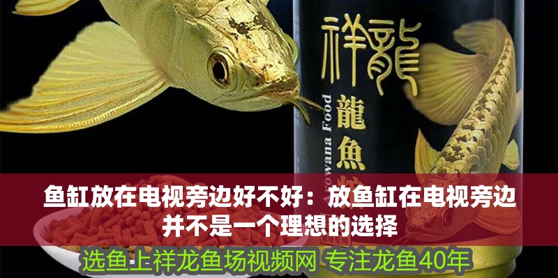 魚(yú)缸放在電視旁邊好不好：放魚(yú)缸在電視旁邊并不是一個(gè)理想的選擇 魚(yú)缸放在電視旁邊好不好：放魚(yú)缸在電視旁邊并不是一個(gè)理想的選擇 魚(yú)缸百科
