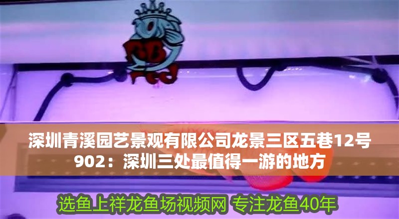 深圳青溪園藝景觀有限公司龍景三區(qū)五巷12號902：深圳三處最值得一游的地方