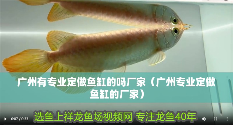 廣州有專業定做魚缸的嗎廠家（廣州專業定做魚缸的廠家）