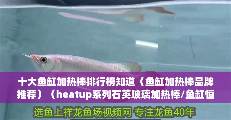 十大魚缸加熱棒排行榜知道（魚缸加熱棒品牌推薦）（heatup系列石英玻璃加熱棒/魚缸恒溫加熱棒）