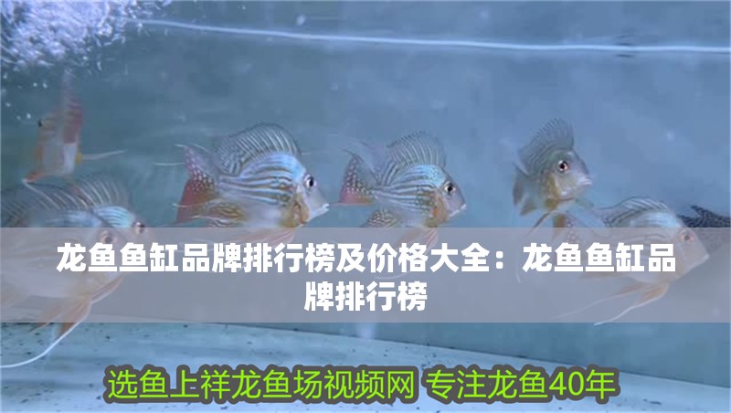 龍魚魚缸品牌排行榜及價格大全：龍魚魚缸品牌排行榜