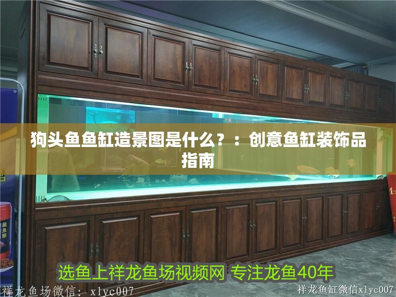 狗頭魚魚缸造景圖是什么？：創(chuàng)意魚缸裝飾品指南