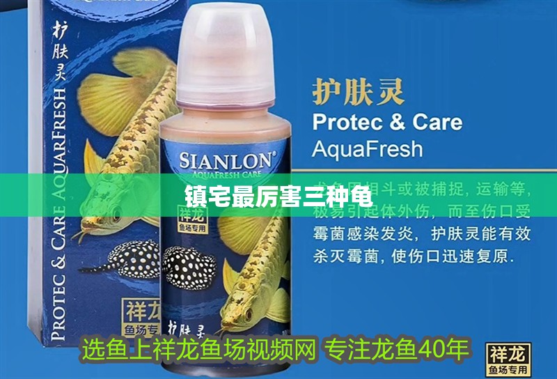 鎮(zhèn)宅最厲害三種龜 鎮(zhèn)宅最厲害三種龜 龍魚論壇