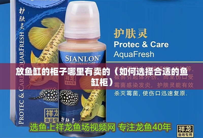 放魚缸的柜子哪里有賣的（如何選擇合適的魚缸柜）