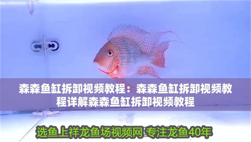 森森魚缸拆卸視頻教程：森森魚缸拆卸視頻教程詳解森森魚缸拆卸視頻教程
