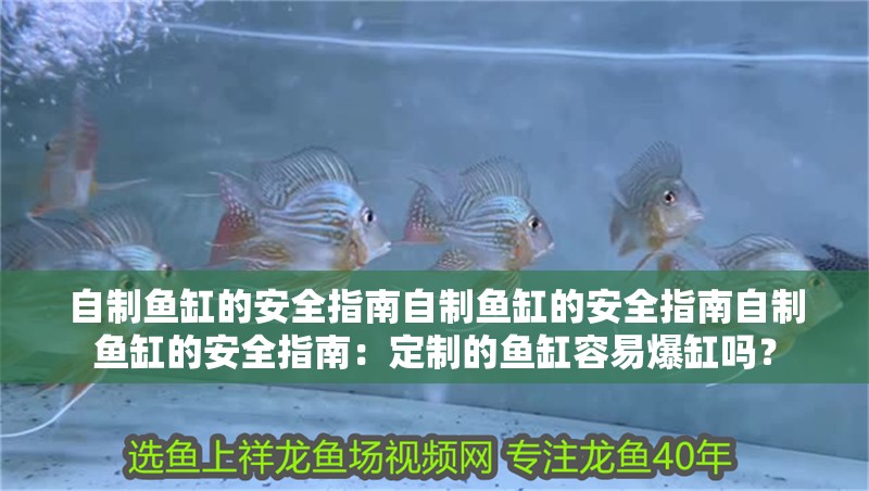自制魚缸的安全指南自制魚缸的安全指南自制魚缸的安全指南：定制的魚缸容易爆缸嗎？