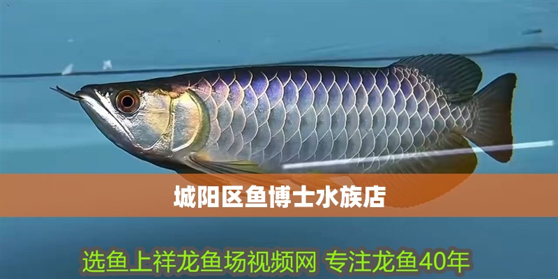 城陽區魚博士水族店