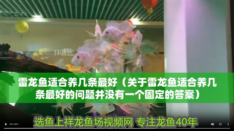 雷龍魚適合養(yǎng)幾條最好（關(guān)于雷龍魚適合養(yǎng)幾條最好的問題并沒有一個固定的答案）
