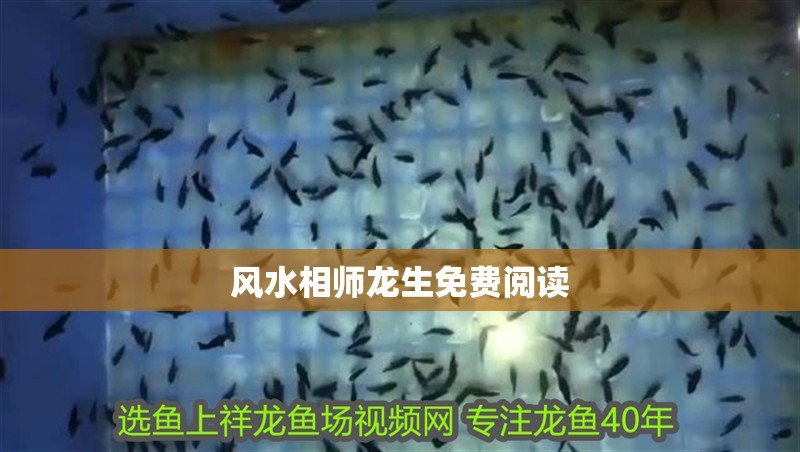 風水相師龍生免費閱讀