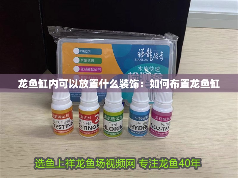 龍魚缸內(nèi)可以放置什么裝飾：如何布置龍魚缸