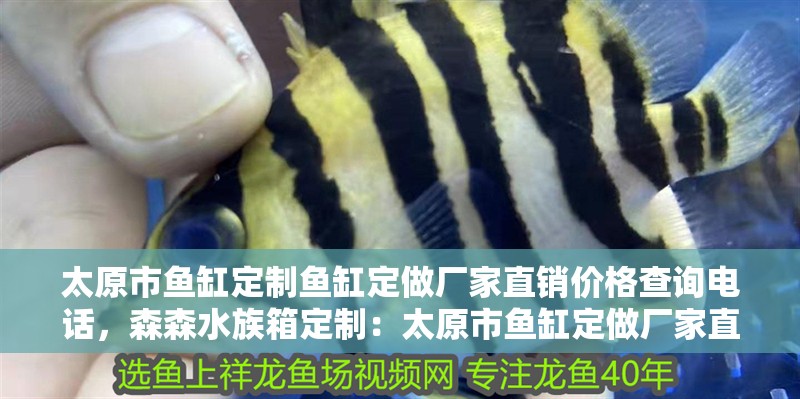 太原市魚缸定制魚缸定做廠家直銷價格查詢電話，森森水族箱定制：太原市魚缸定做廠家直銷價格 太原市魚缸定制魚缸定做廠家直銷價格查詢電話，森森水族箱定制：太原市魚缸定做廠家直銷價格 魚缸百科