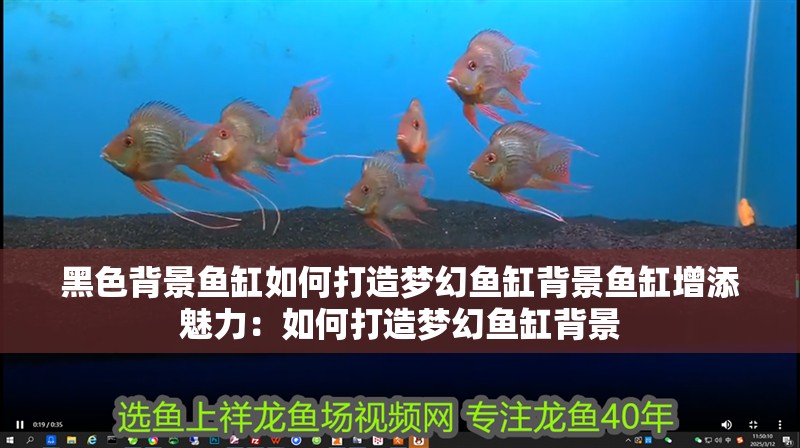 黑色背景魚缸如何打造夢幻魚缸背景魚缸增添魅力：如何打造夢幻魚缸背景