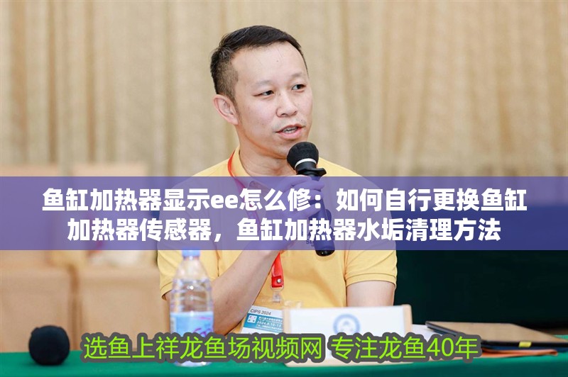 魚缸加熱器顯示ee怎么修：如何自行更換魚缸加熱器傳感器，魚缸加熱器水垢清理方法 魚缸加熱器顯示ee怎么修：如何自行更換魚缸加熱器傳感器，魚缸加熱器水垢清理方法 魚缸百科