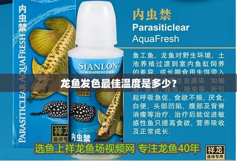 龍魚發色最佳溫度是多少？