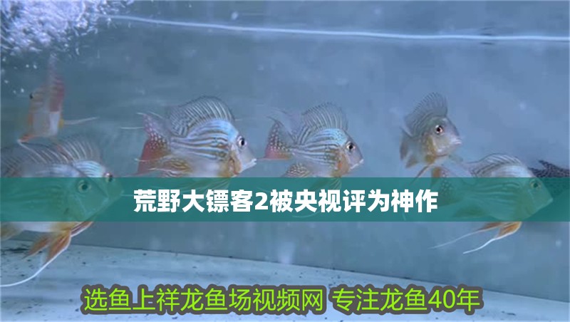 荒野大鏢客2被央視評為神作