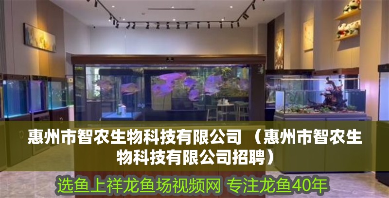 惠州市智農(nóng)生物科技有限公司 （惠州市智農(nóng)生物科技有限公司招聘）